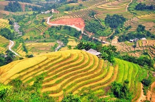 Thêm 5 xã vào Di tích Quốc gia ruộng bậc thang Hoàng Su Phì