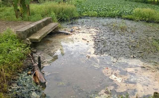 Khu công nghiệp Khánh Phú (Ninh Bình): Báo động ô nhiễm môi trường