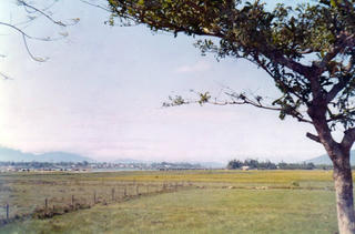 Một hương vị Tết đã xưa