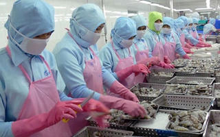 Xuất khẩu thủy sản: Thị trường EU là ứng cử viên số 1