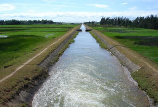 Miễn giảm phí thủy lợi 51.735 ha đất nông nghiệp