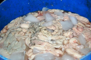 Bắt 3 xe tải chở nội tạng thối định đổ xuống sông