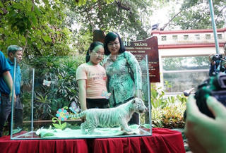 Hổ trắng quý hiếm sinh con ở Thảo Cầm Viên