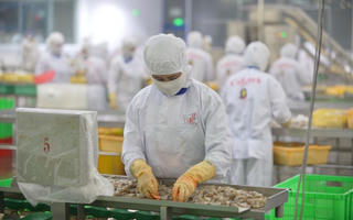 Lấy lại đà phục hồi sản xuất