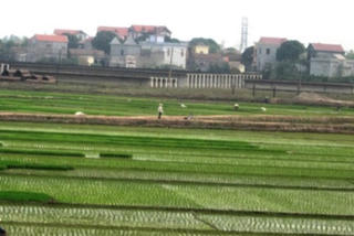 Quyết liệt kiểm kê đất đai