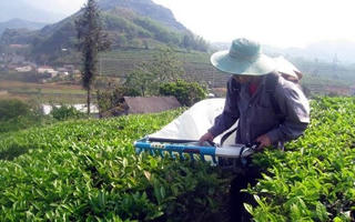 Đổi thay ở những vùng khó