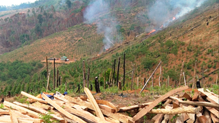 Cách chức trạm trưởng, kỷ luật 4 cán bộ để mất rừng