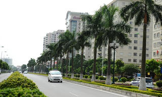 Đi tìm không gian xanh