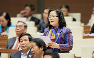 Luật Ký kết, gia nhập và thực hiện điều ước quốc tế: Băn khoăn cơ quan chủ trì, thẩm tra