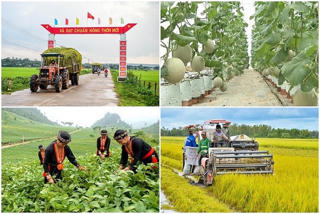 Đến năm 2030 cơ bản không còn xã, thôn, bản, ấp đặc biệt khó khăn