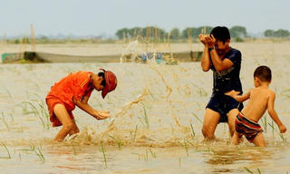 [ẢNH] Mưu sinh mùa lũ cạn