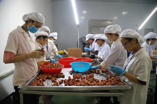 Nông sản Việt vào các thị trường khó tính