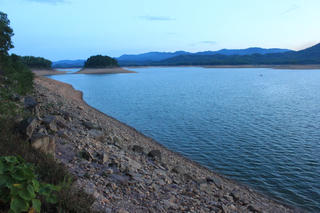 Vào rừng cắt lá rong, một người đàn ông thiệt mạng gần 10 ngày sau mới thấy xác