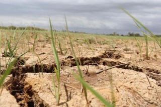 Quê mình ven biển