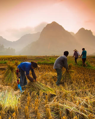 Nông dân thời hiện đại