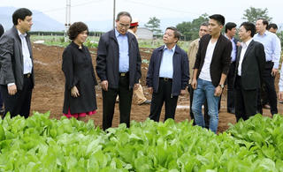 Chuẩn bị nội dung sơ kết 3 năm thực hiện Luật Hợp tác xã 2012