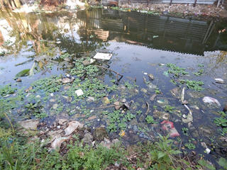 Một dòng sông chết dần vì rác