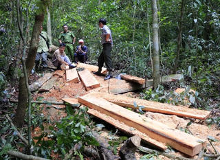 Đắk Lắk phát hiện một hầm chứa trên 300 kg đạn pháo