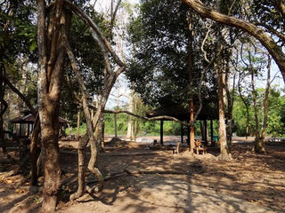 Nhớ Tết chiến khu