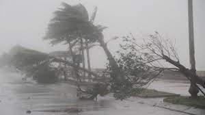 Bão Conson di chuyển theo hướng Tây Bắc, sẽ vào biển đông trong ngày mai 