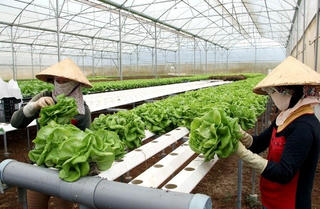 Tạo đà cho khởi nghiệp nông nghiệp