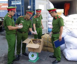 Bắt giữ container chứa vảy tê tê nhập lậu ‘đội lốt’ hoa hồng