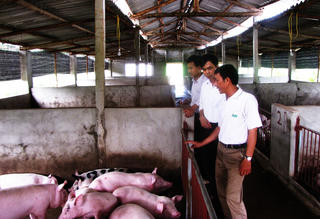 Tỷ phú người Sán Dìu