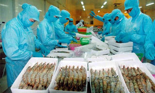 Nhập khẩu thủy sản hơn 1 tỉ USD