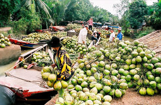Một lần ghé lại xứ dừa