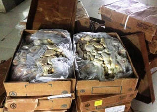 Gần 7 tạ thực phẩm hết hạn 1 năm nằm trong kho đông lạnh