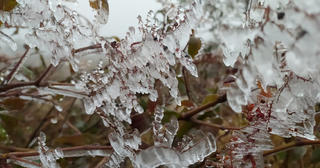 Sa Pa 'đông cứng' trong băng tuyết, đỉnh Khau Phạ cũng 'hóa đá'