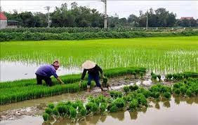 Đề phòng thiếu nước vụ Đông Xuân