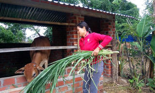Gia Lai: Đặt mục tiêu giảm tỷ lệ hộ nghèo 2,7%/năm