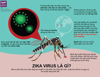 Cảnh giác với bệnh do virus Zika