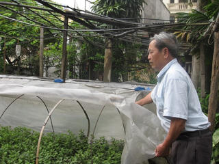 Mảnh vườn cuối cùng của  làng hoa Ngọc Hà