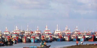 Mạnh giàu lên từ biển