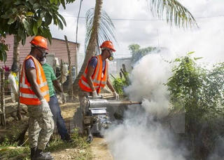 Khẩn cấp chi 8,5 triệu USD phòng chống virus Zika