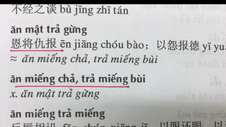 ‘Từ điển thành ngữ - tục ngữ Việt Hán’ nhiều sai sót