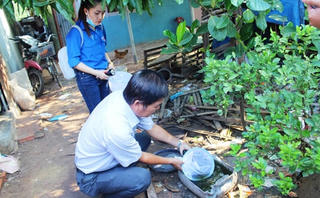 Lo ngại virus Zika