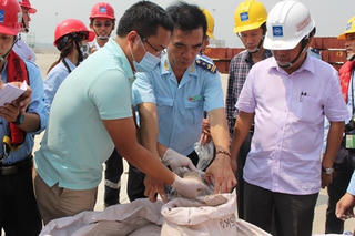 Hơn 160 tấn nhôm Formosa nhập về không phải là bùn thải