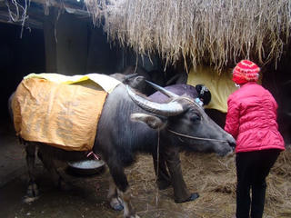 Những ngày giá rét