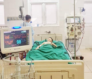 Nghệ An: Cậu bé bị ong vò vẽ đốt hơn 100 nốt
