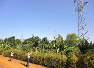 Về vụ việc “Mua đất thiếu thông tin, người dân nhận quả đắng”: Đã nhận “quả đắng” lại còn bị kiện