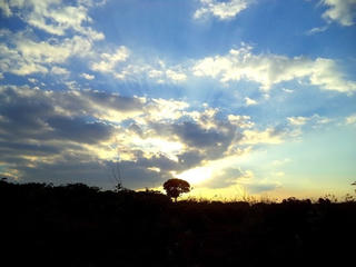 Một mình một cõi...