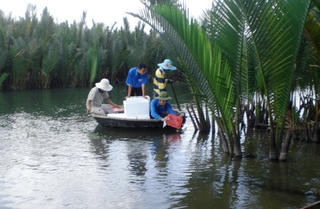 Đẩy nhanh tiến độ trồng rừng ngập mặn ven biển