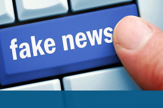Tin fake