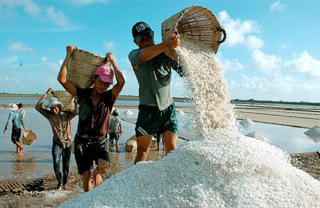 Gỡ khó cho diêm dân Cần Giờ