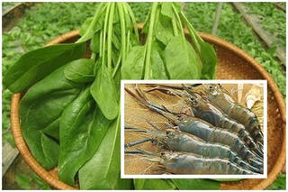 Những thực phẩm kỵ nhau khi nấu cháo cho bé