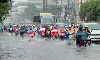 Rối bời chống ngập
