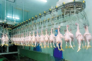 Thịt gà Việt Nam xuất sang Nhật Bản